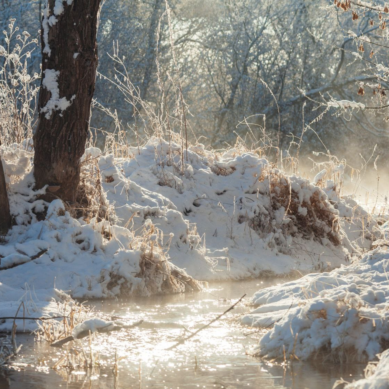 Блог. Фотограф Артём Парамонов