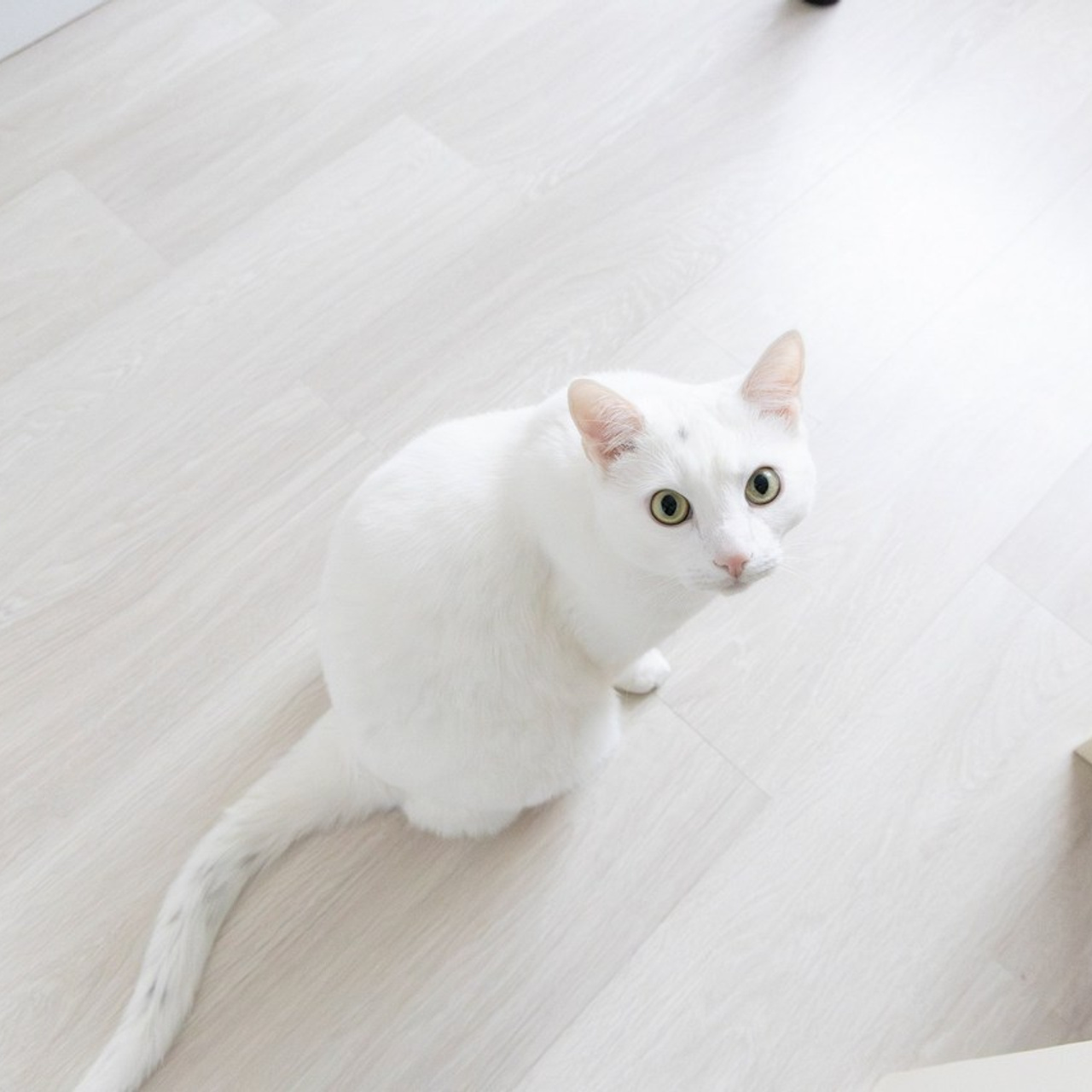 REVIEWS. Content creator | Москва | Нарьян-Мар