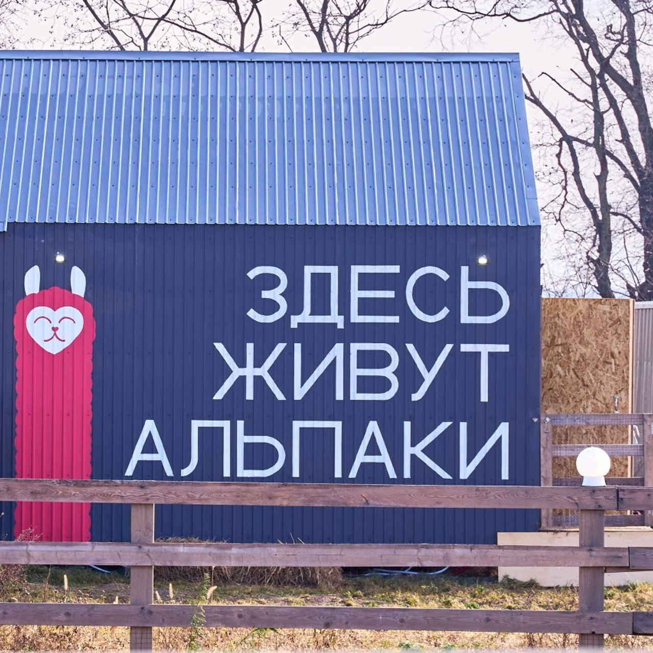 Отзывы. Выпускные фотокниги во Владивостоке Джуган Елена