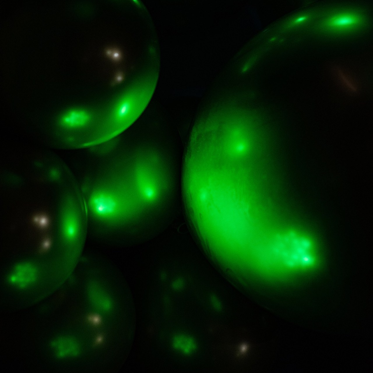 Отзывы. ФОТОГРАФ КРАСНОДАР КРАСНОДАРСКИЙ КРАЙ