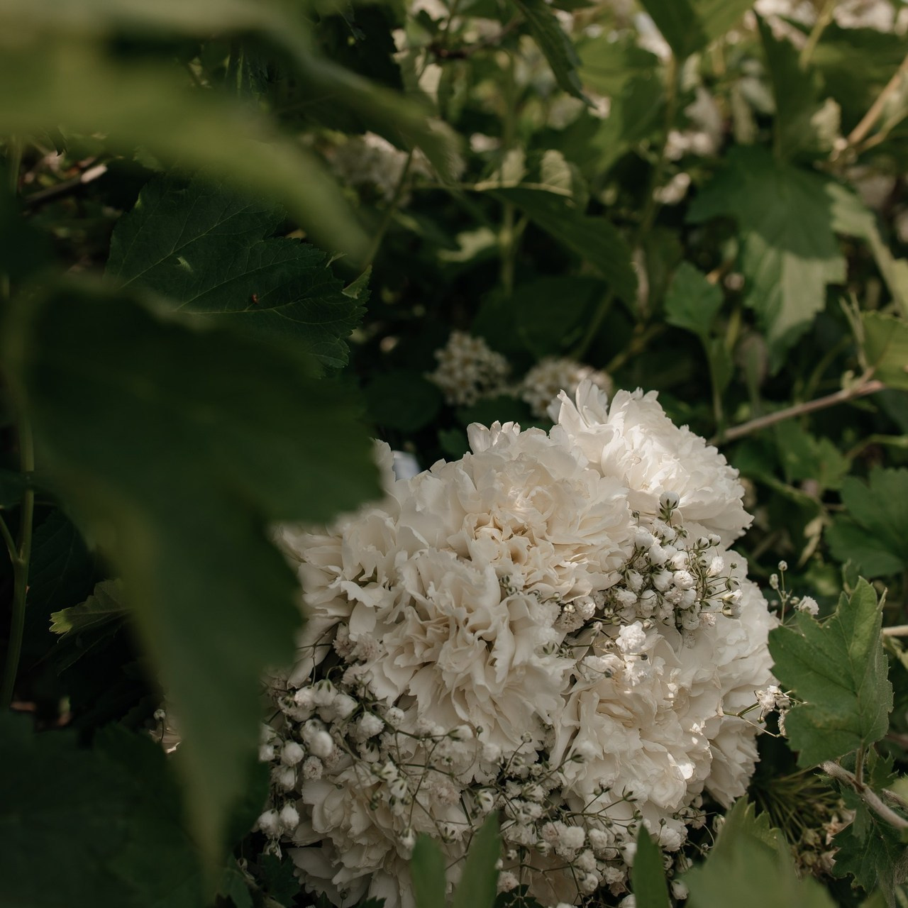 Отзывы. Свадебный и семейный фотограф в Москве Дарья Тюленева