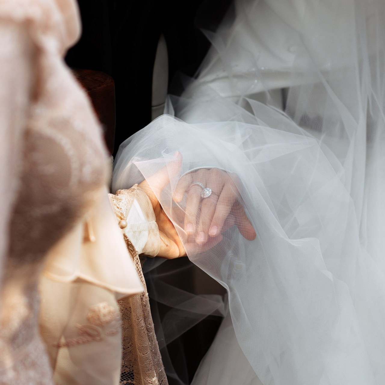 Отзывы. Фотограф Джамбулат Дикаев