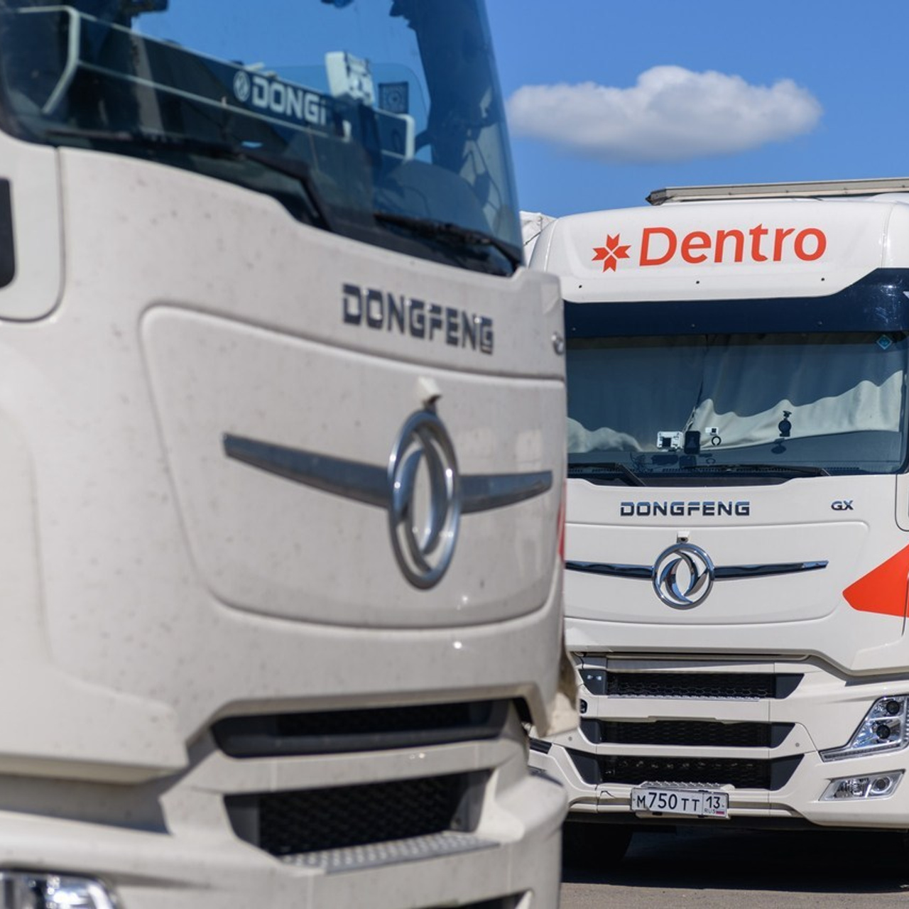 Отзывы. Фотограф Антон Белицкий