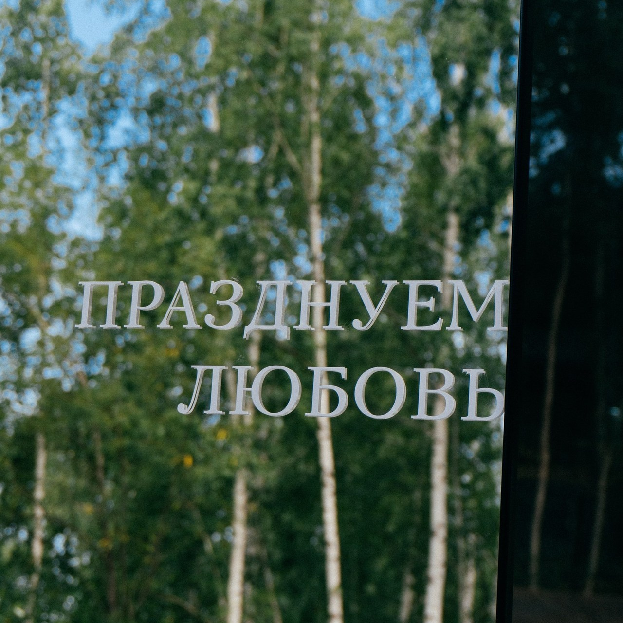 Отзывы. Фото и видео контент