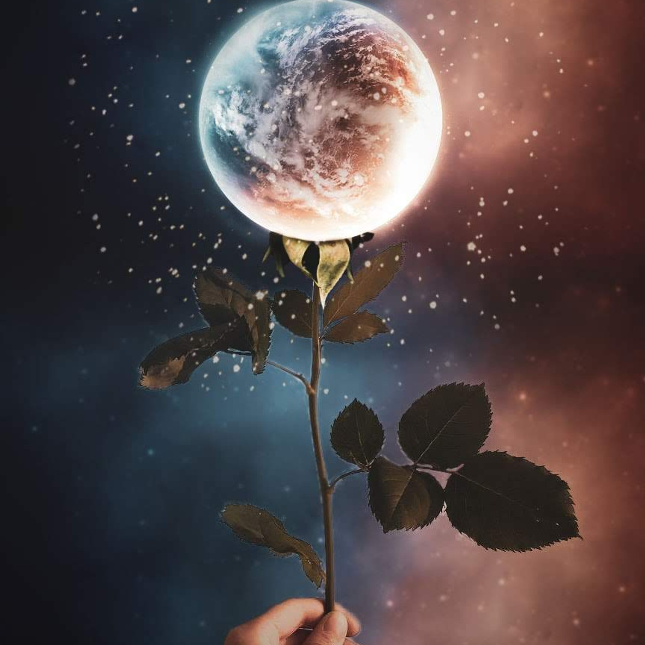 Отзывы. Портретный фотограф в Казани Тумурзина Камила