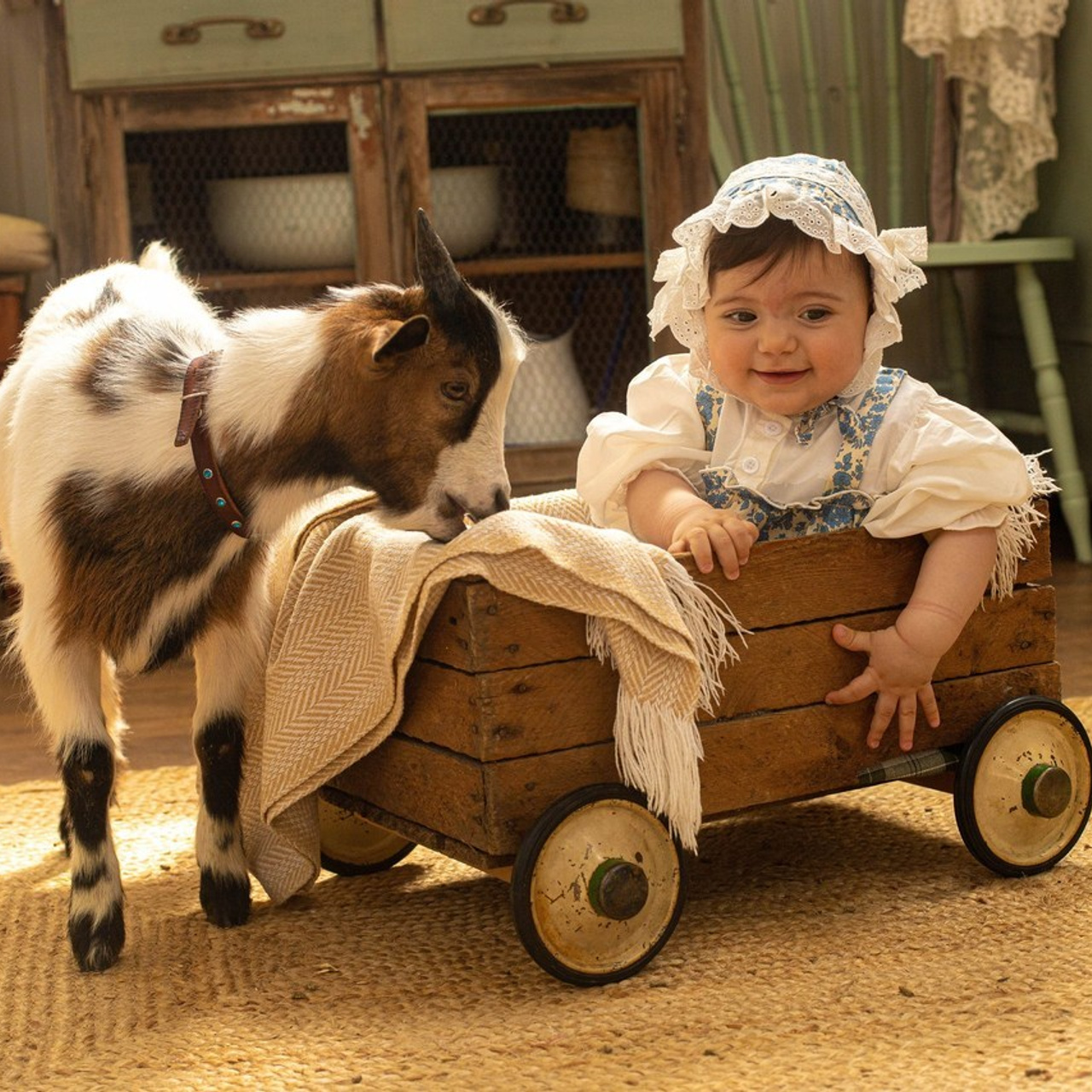 Отзывы. Студийный фотограф в Краснодаре