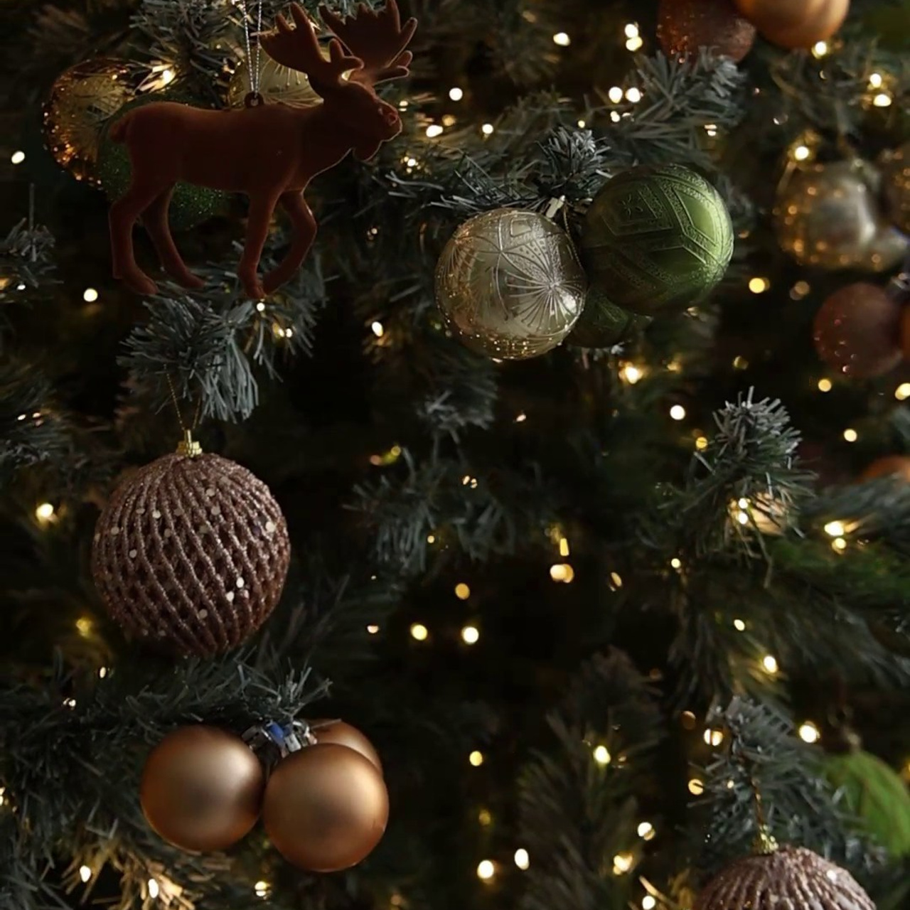 Отзывы. Фотограф Дарья Пудовкина Москва, Московская область