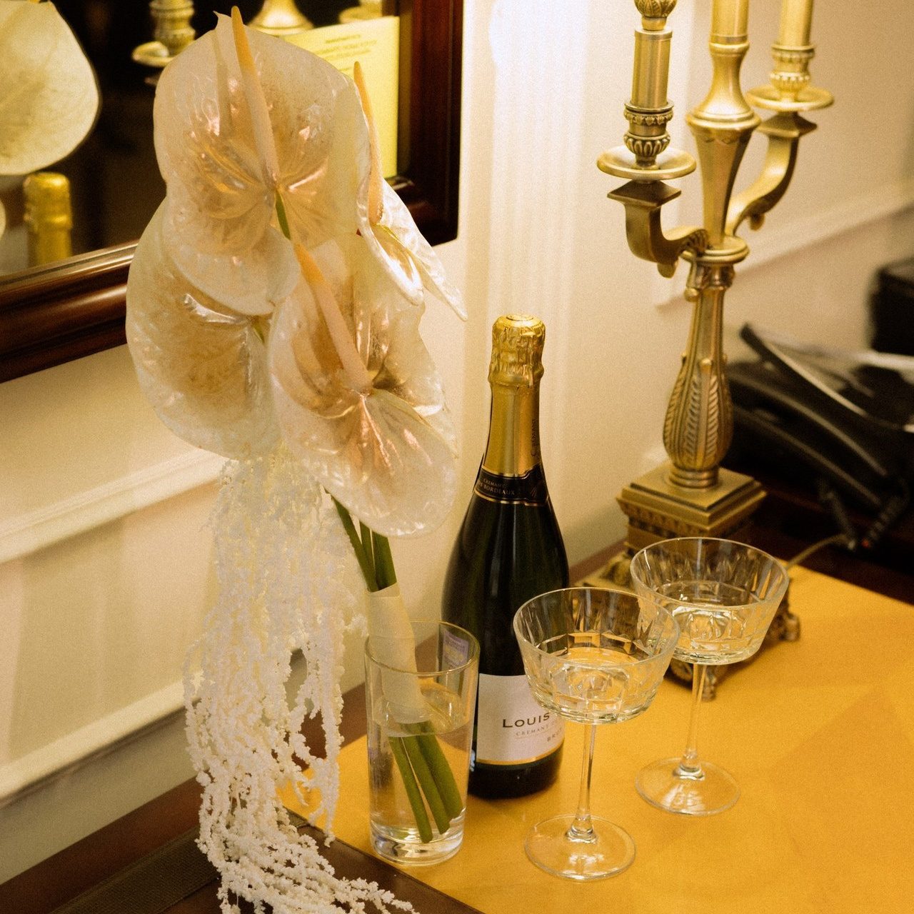 Отзывы. Фотограф в Москве Шалышко Ангелина