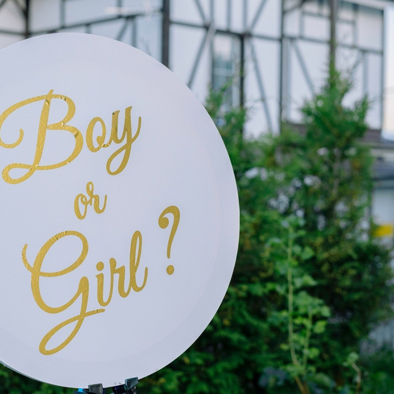 Отзывы. Фотограф в Москве Шалышко Ангелина