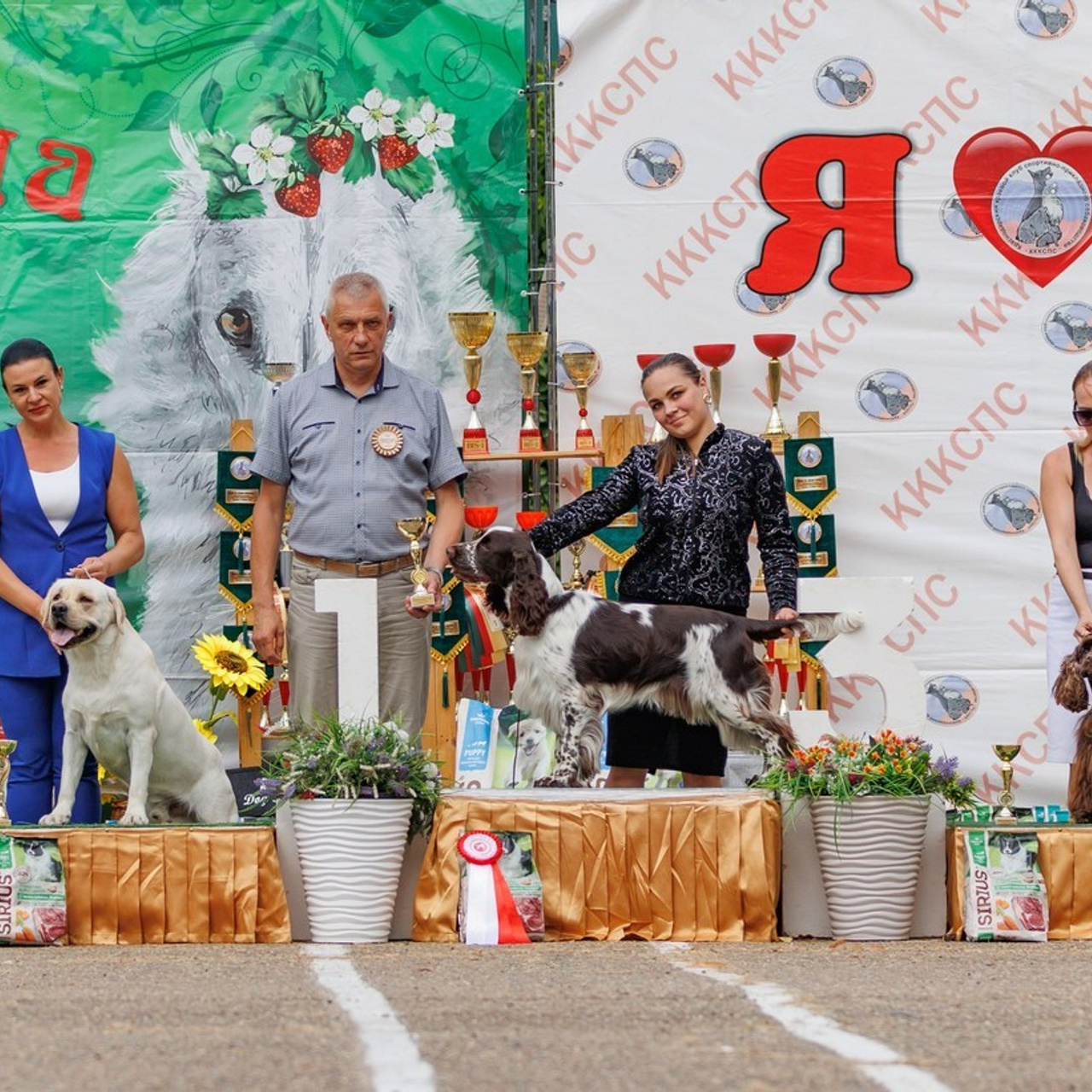 Отзывы. Фотограф — анималист Светлана Кысса|фотограф собак в Краснодаре и Нижнем Новгороде