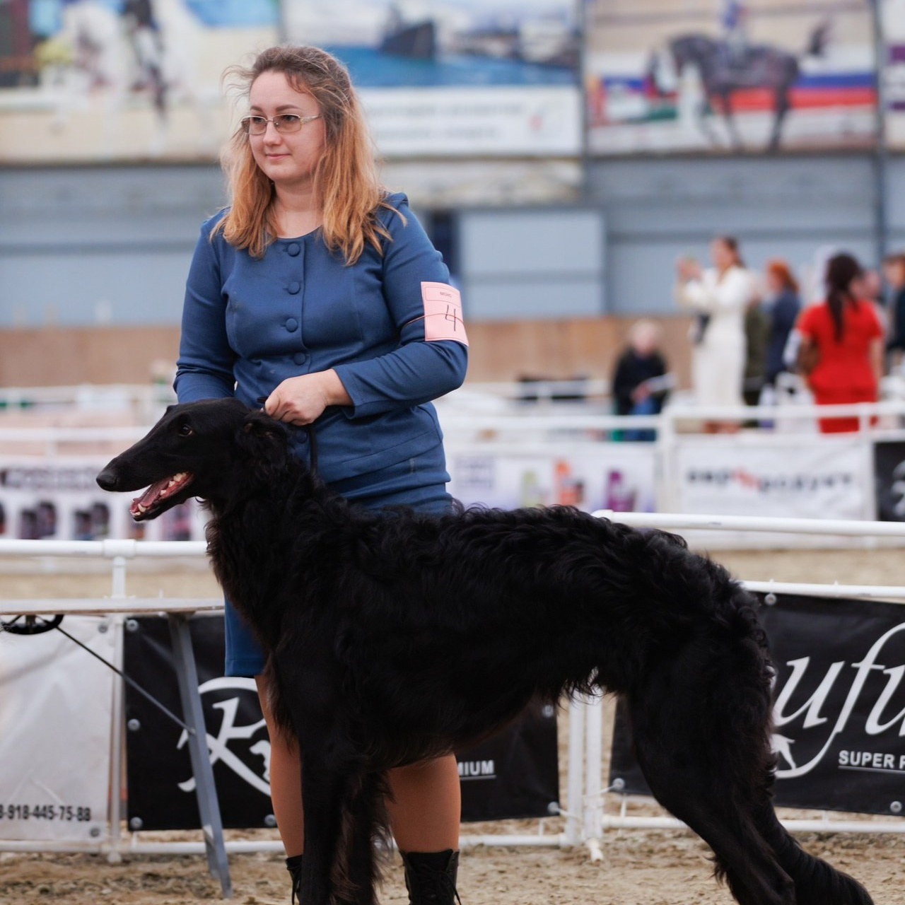 Отзывы. Фотограф — анималист Светлана Кысса|фотограф собак в Краснодаре и Нижнем Новгороде