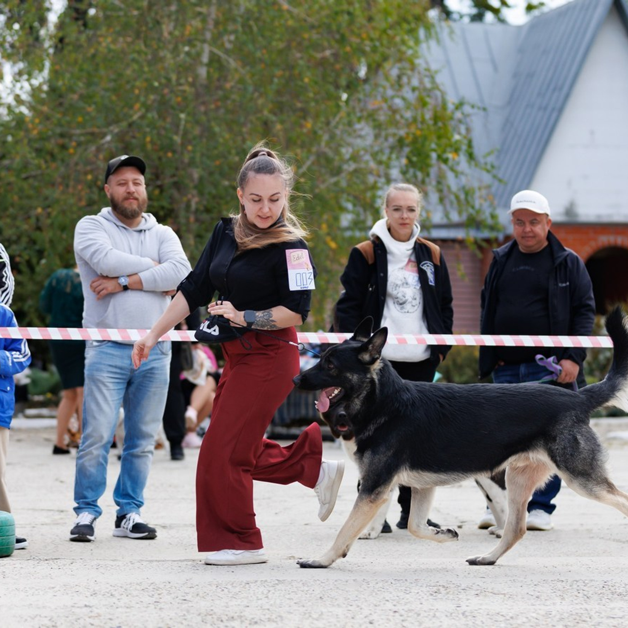 Отзывы. Фотограф — анималист Светлана Кысса|фотограф собак в Краснодаре и Нижнем Новгороде