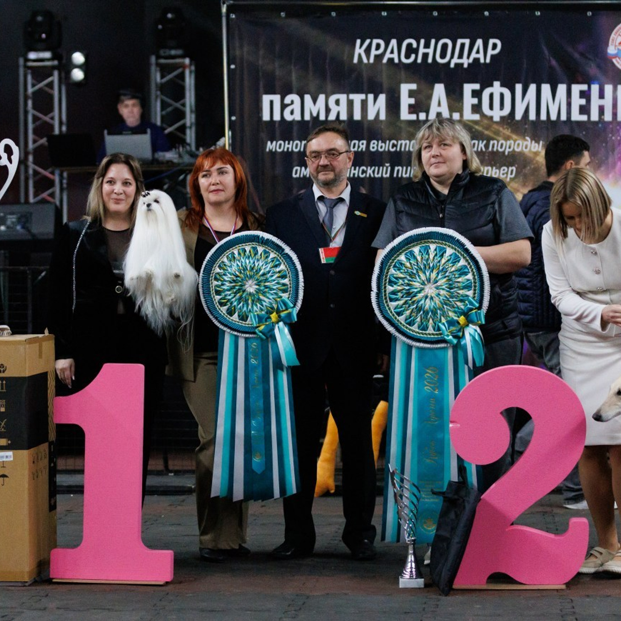 Отзывы. Фотограф — анималист Светлана Кысса|фотограф собак в Краснодаре и Нижнем Новгороде