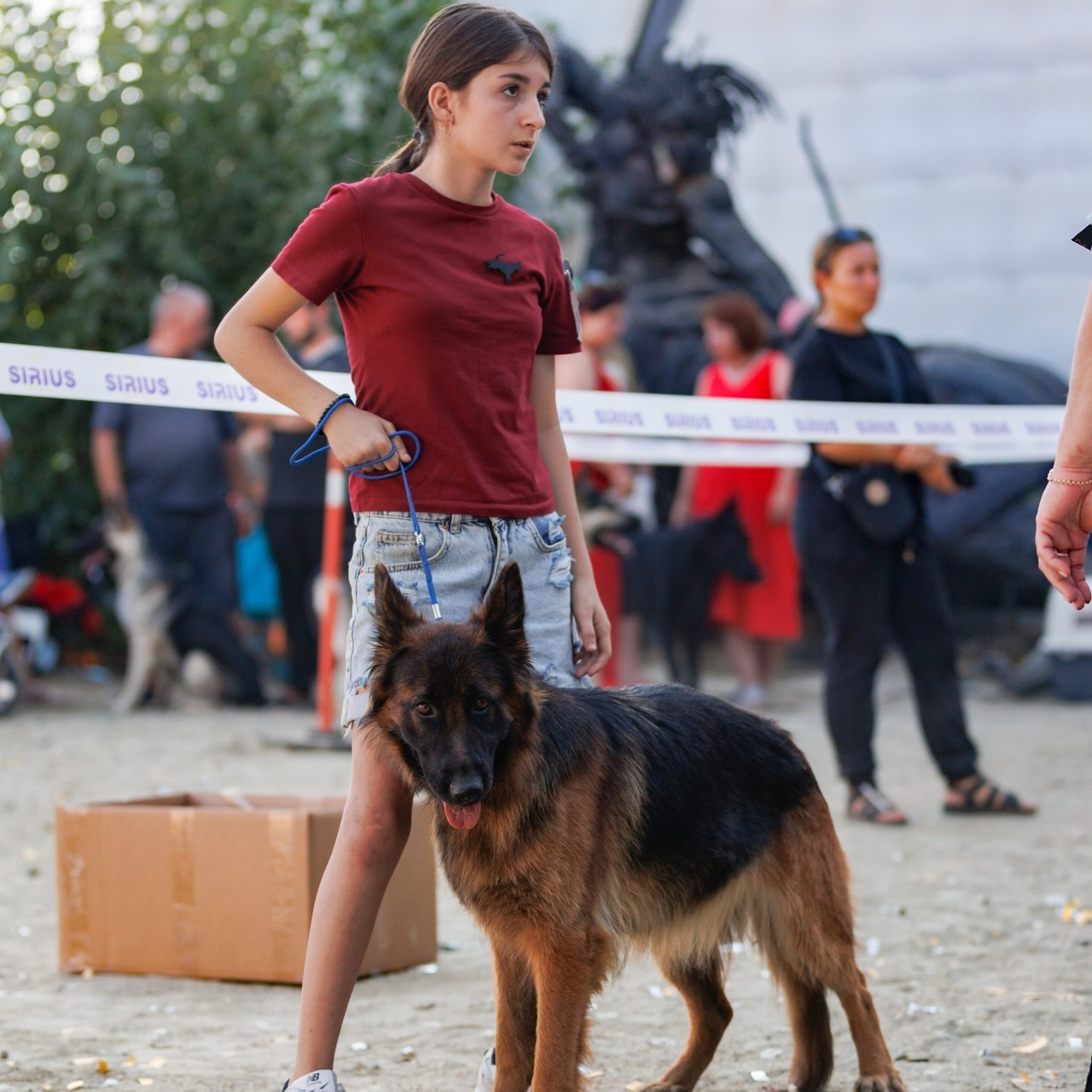 Отзывы. Фотограф — анималист Светлана Кысса|фотограф собак в Краснодаре и Нижнем Новгороде