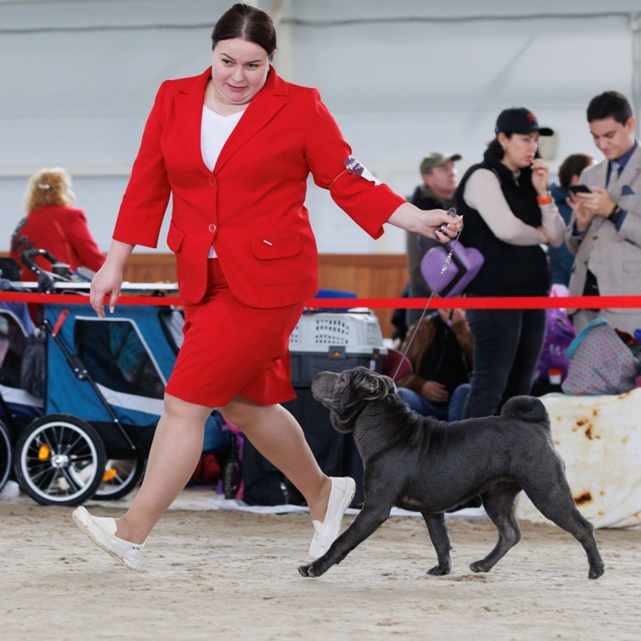 Отзывы. Фотограф — анималист Светлана Кысса|фотограф собак в Краснодаре и Нижнем Новгороде