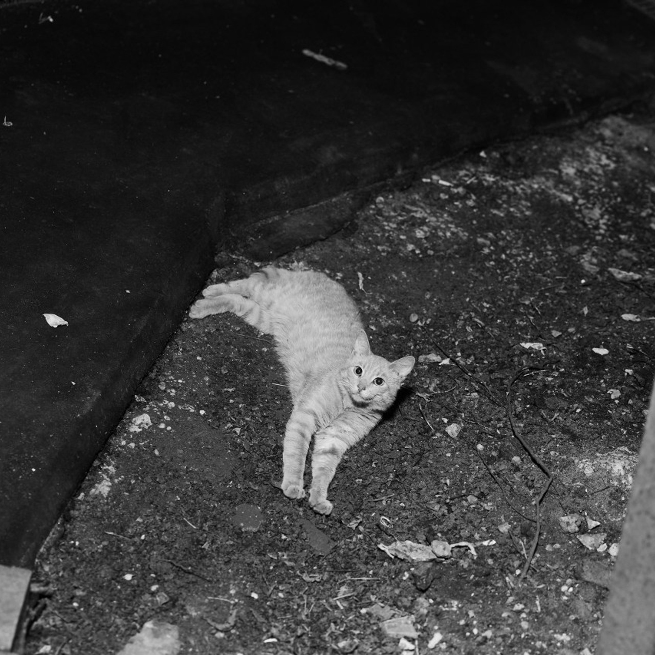 Отзывы. Фотограф Москва и Сергиев Посад- Ника Диянов