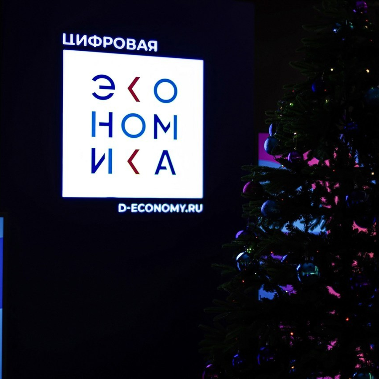 Отзывы. Фотограф Москва и Сергиев Посад- Ника Диянов