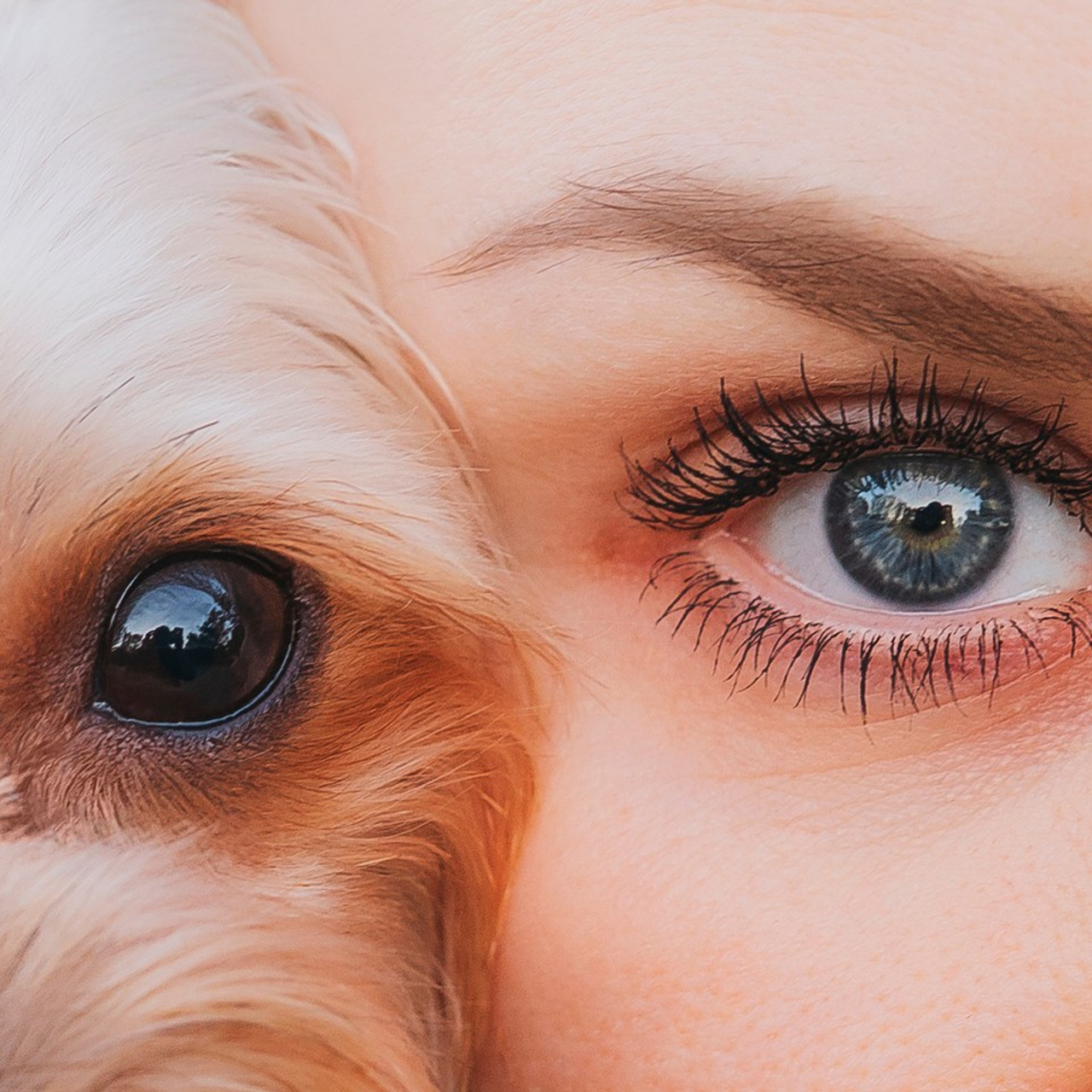 Отзывы. Семейный фотограф анималист Ананьева Мария — Москва