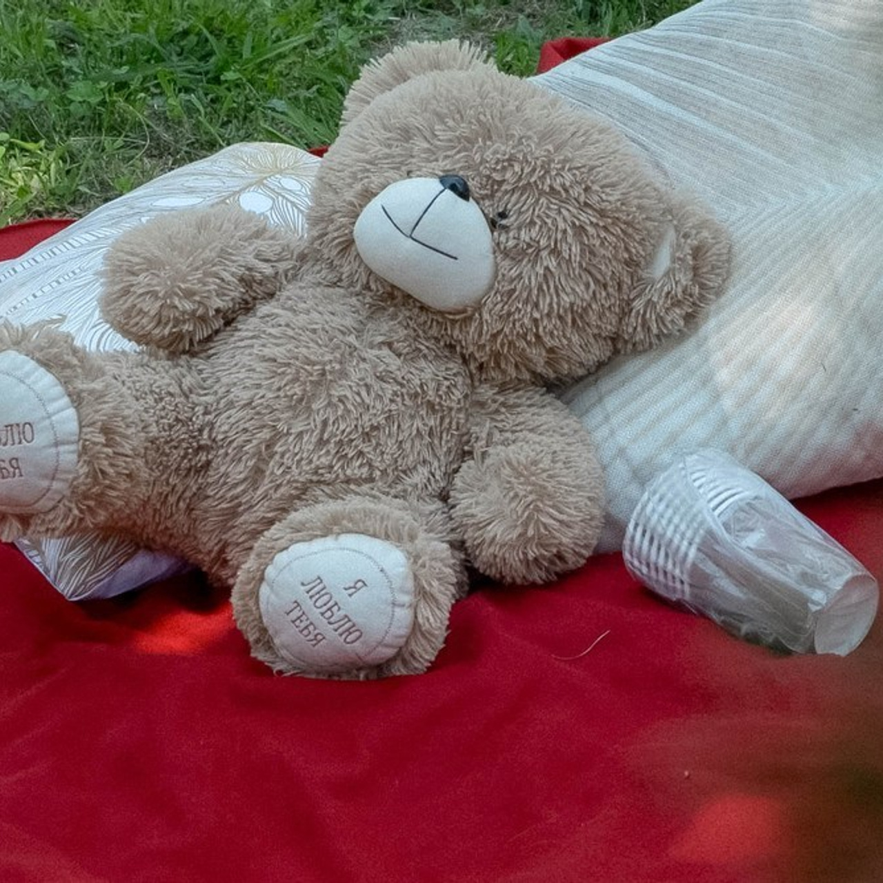 Отзывы. Екатерина Бондаренко