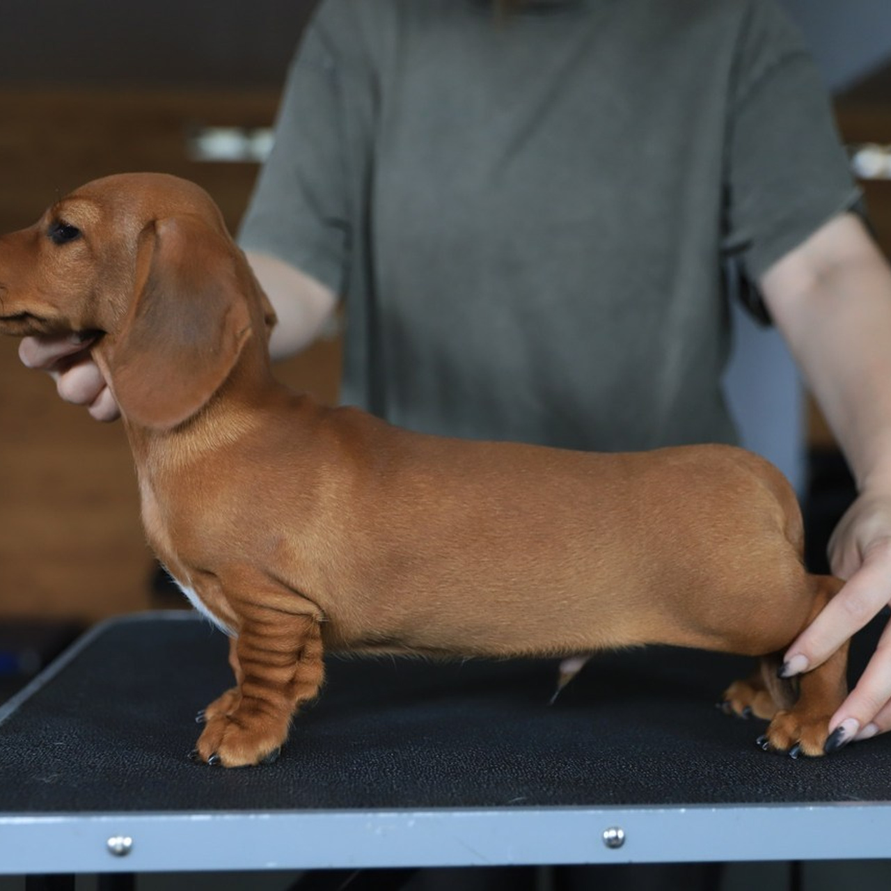 Отзывы. Главная