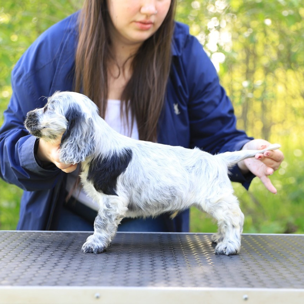 Отзывы. Главная