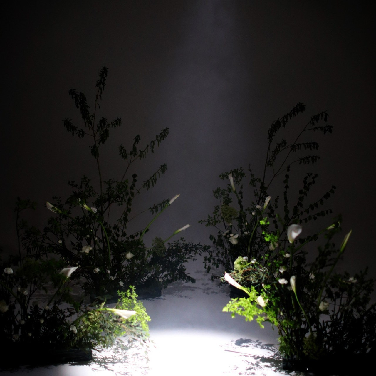 Отзывы. Главная