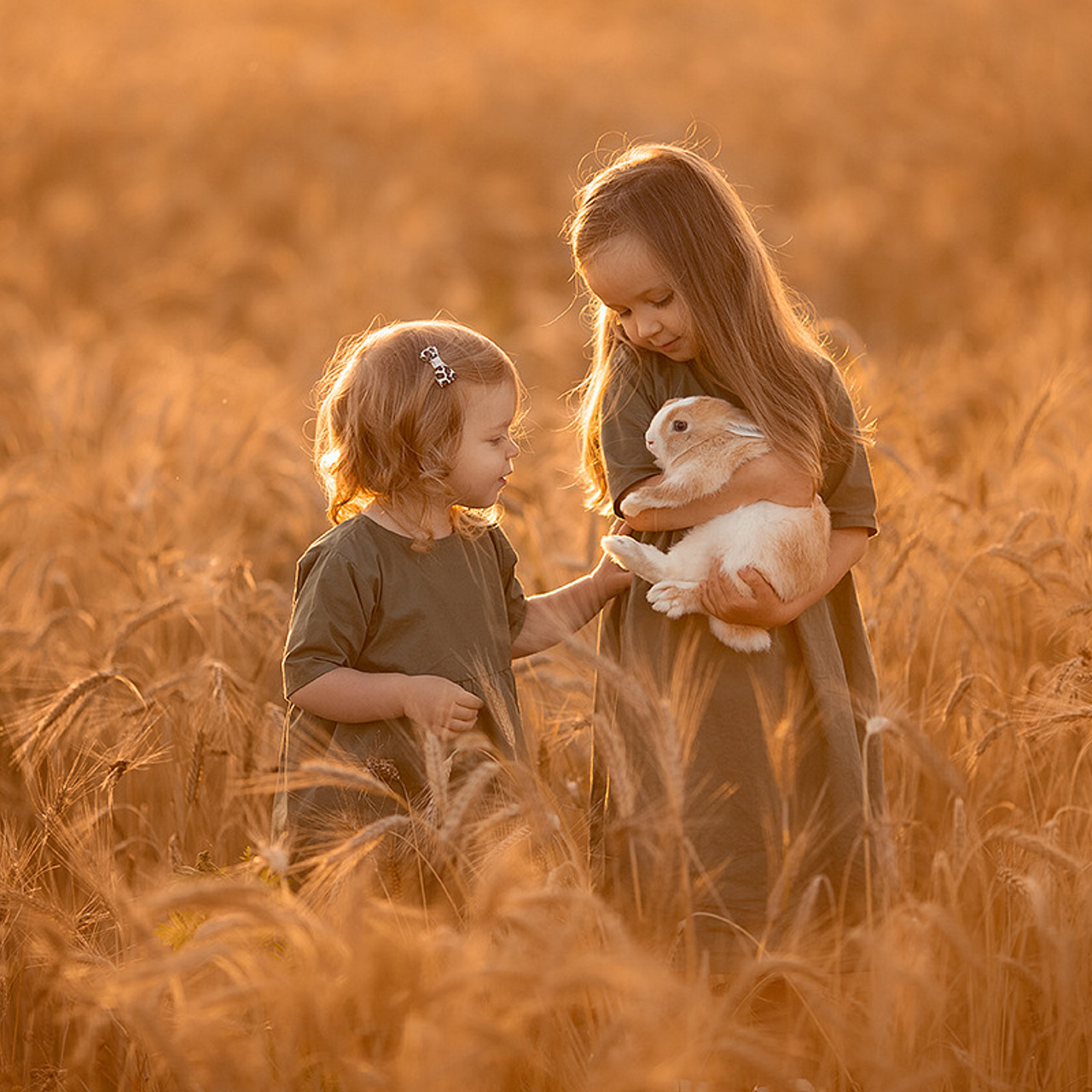 Онлайн курс ОБРАБОТКА ФОТОГРАФИЙ. Фотошкола Елены Светловой (Санкт-Петербург)