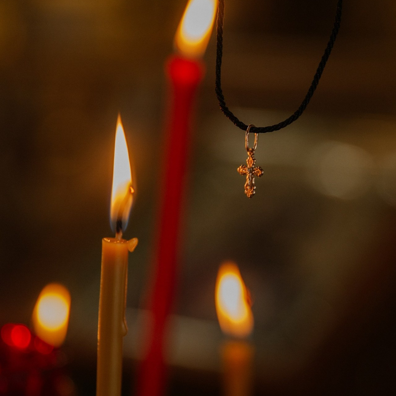 Отзывы. Фотограф в Краснодаре и Краснодарском крае