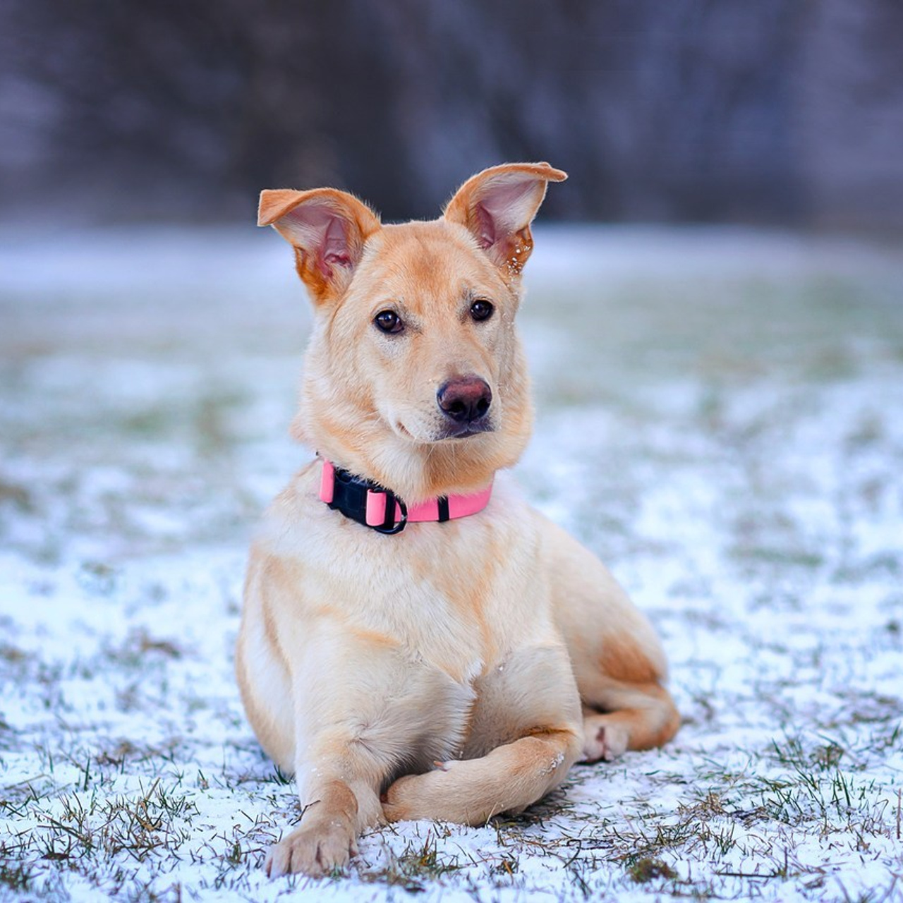 Отзывы. Семейный фотограф в Минске Виктория Дубровская