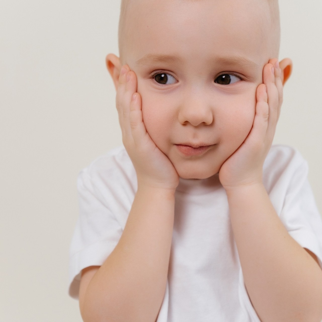 Отзывы. Прайс