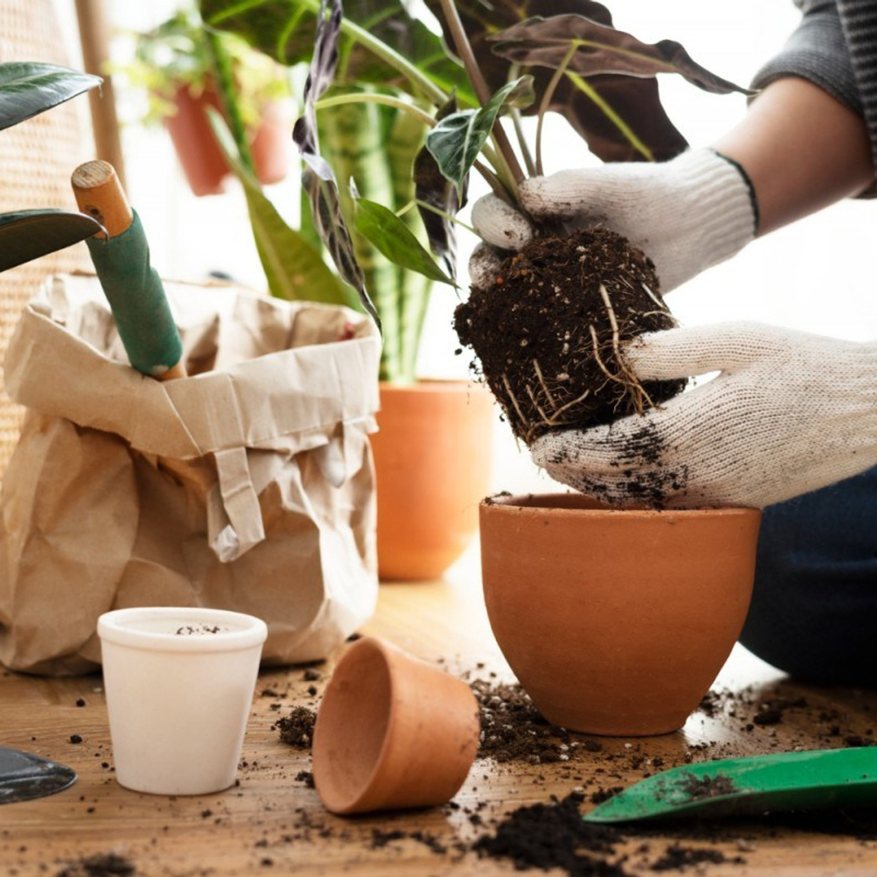 «Из всего можно сделать всё!» мастер-классы с чаепитием. Дом Шрёдера