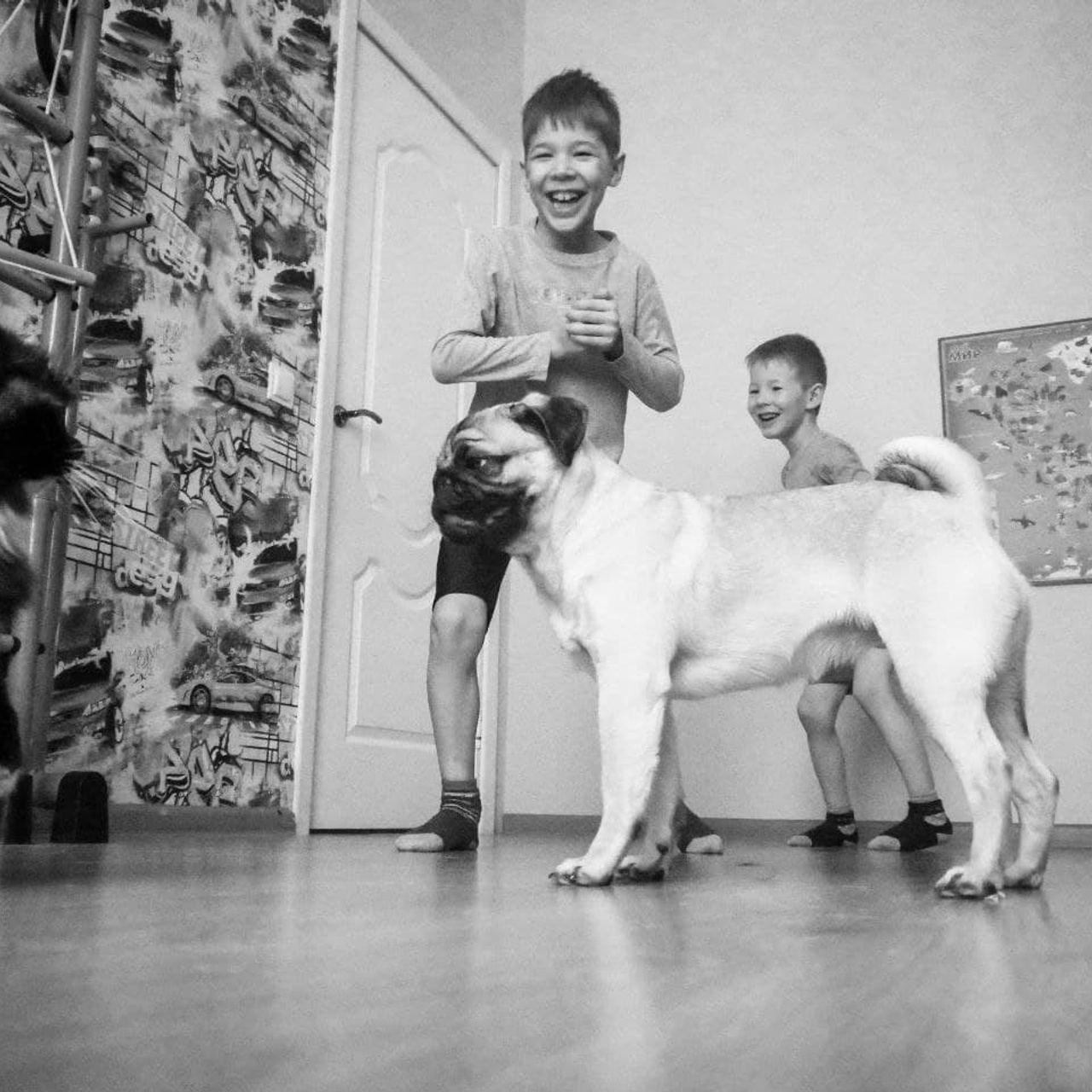 Фотокурс«Искусство домашней фотографии». Фотограф Анастасия Мукоид