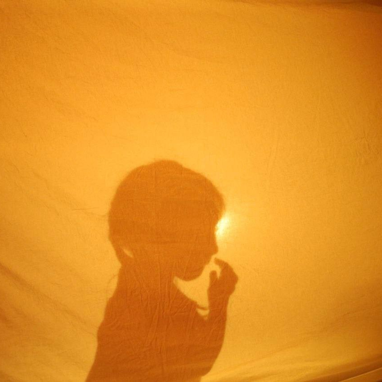 Фотокурс«Искусство домашней фотографии». Фотограф Анастасия Мукоид