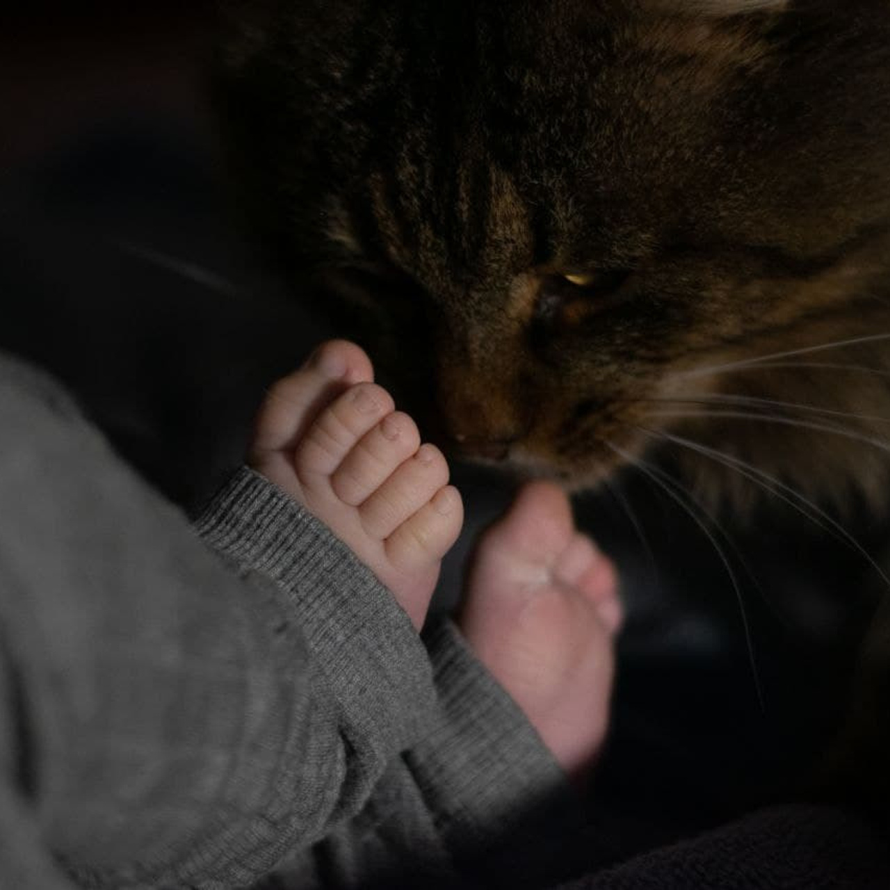 Фотокурс«Искусство домашней фотографии». Фотограф Анастасия Мукоид