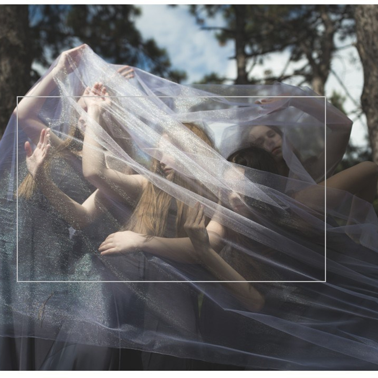 Отзывы. Фото