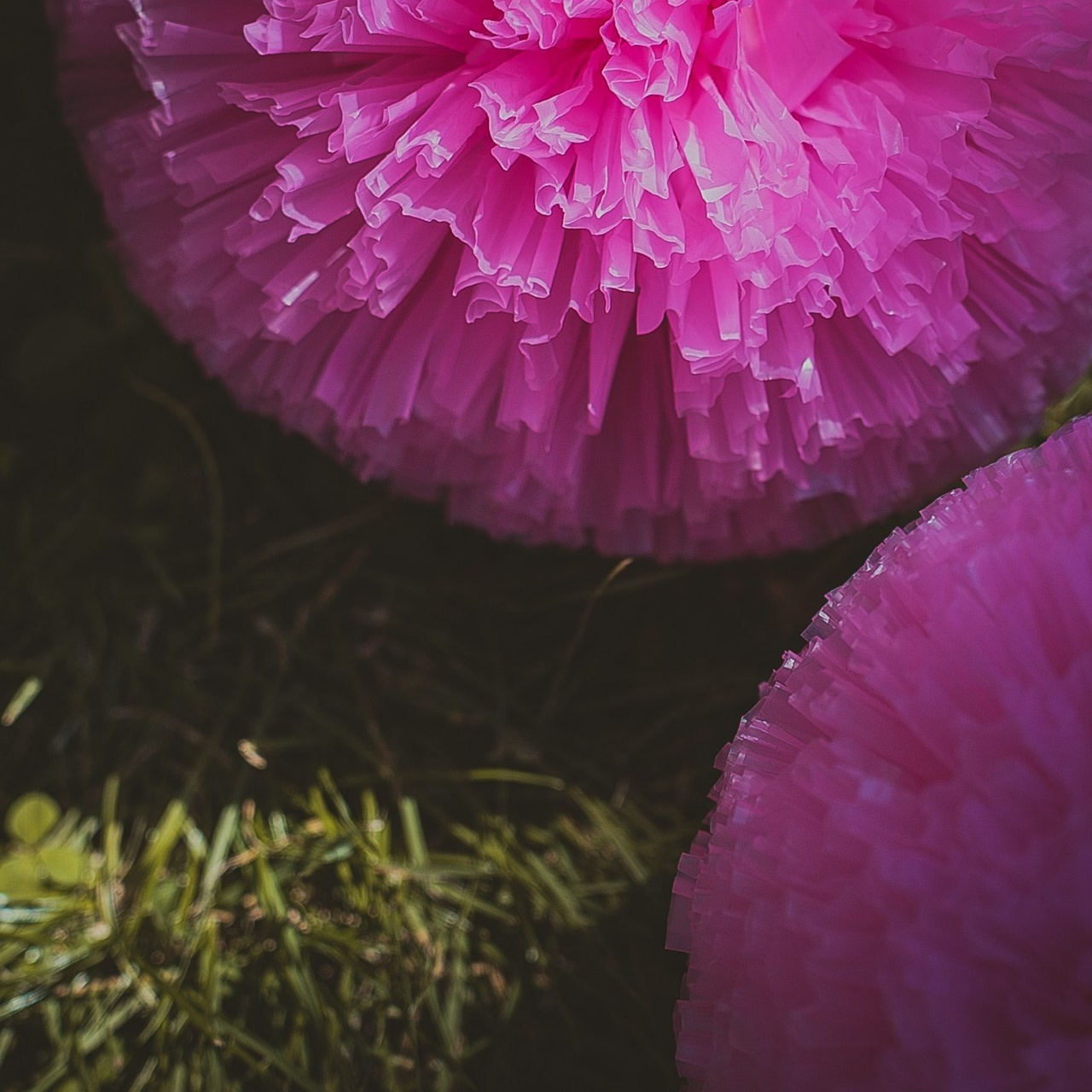 Отзывы. Фото