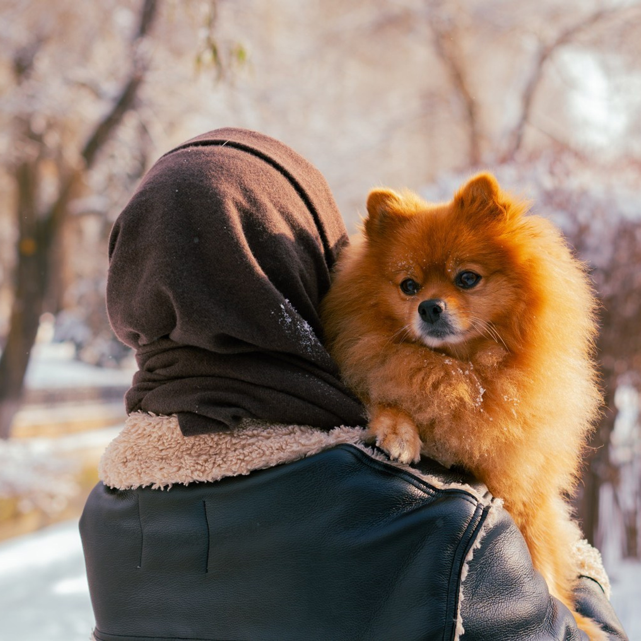 Отзывы. Свадебный, семейный и индивидуальный фотограф в Крыму/ Симферополь
