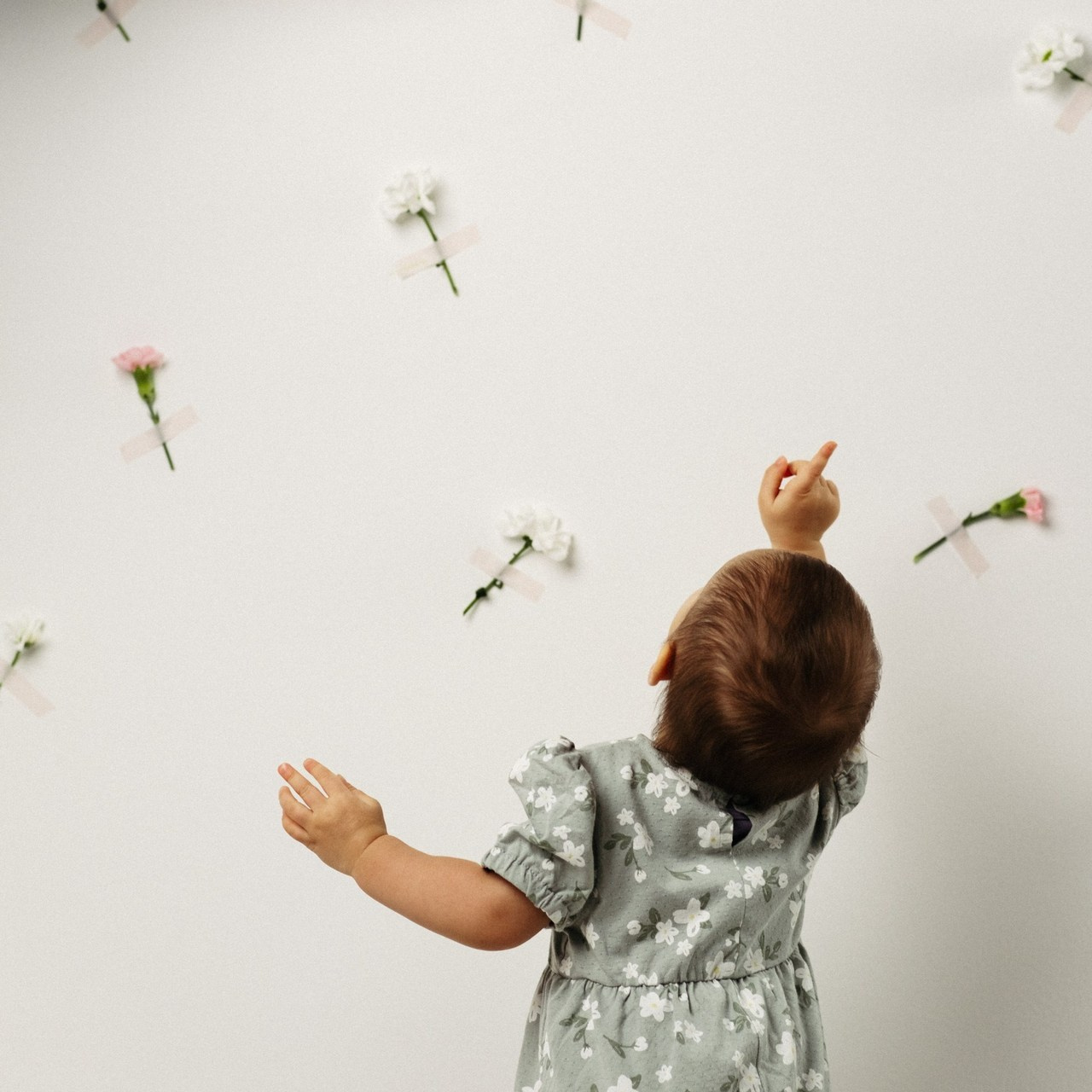 Отзывы. Фотограф Кингисепп Леонова Ника