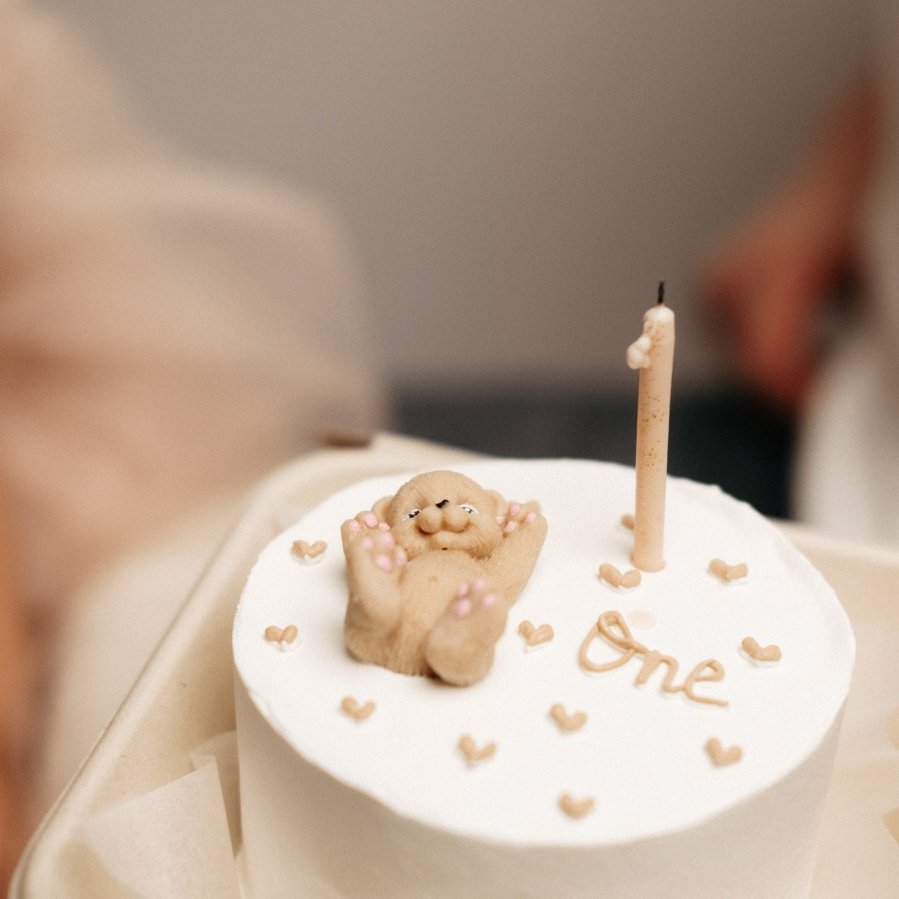 Отзывы. Фотограф Кингисепп Леонова Ника