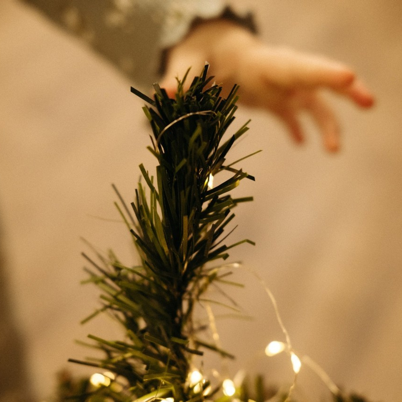 Отзывы. Фотограф Кингисепп Леонова Ника