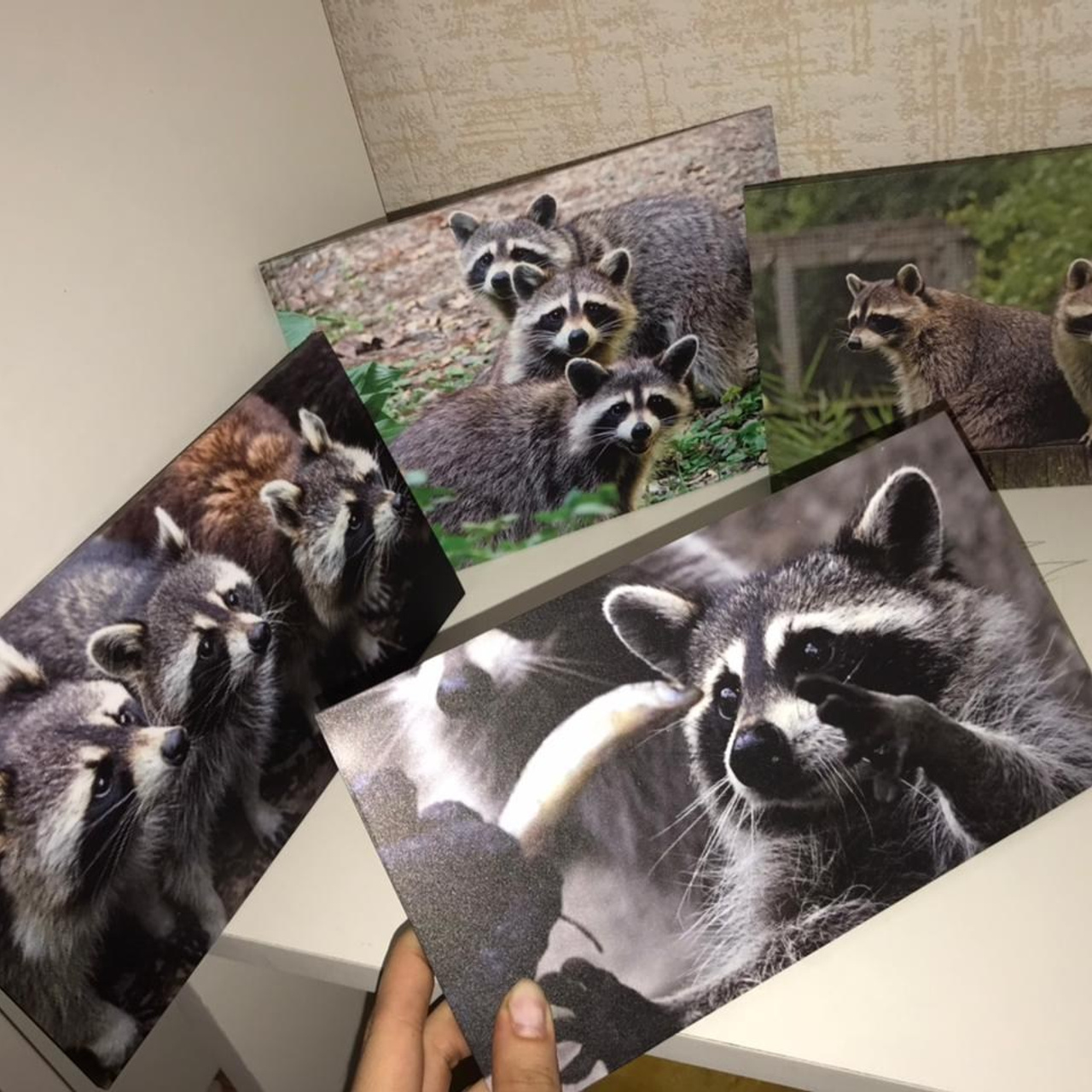 пенокартон 5 мм прямая печать