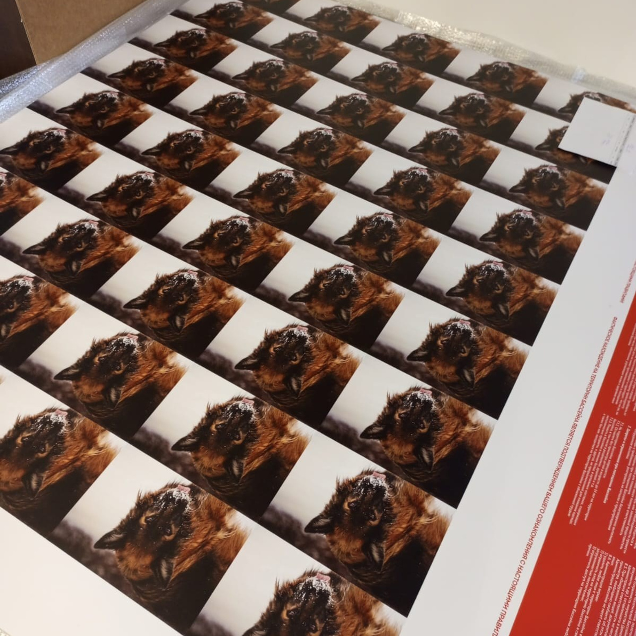 Самоклейка с резкой по контуру