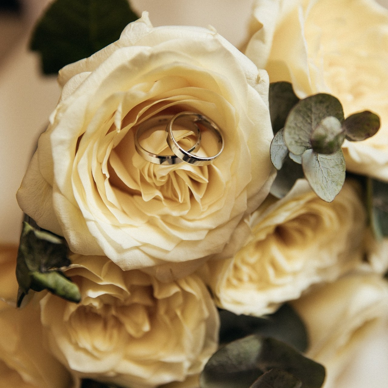 Отзывы. Фотограф Дарья Голованова