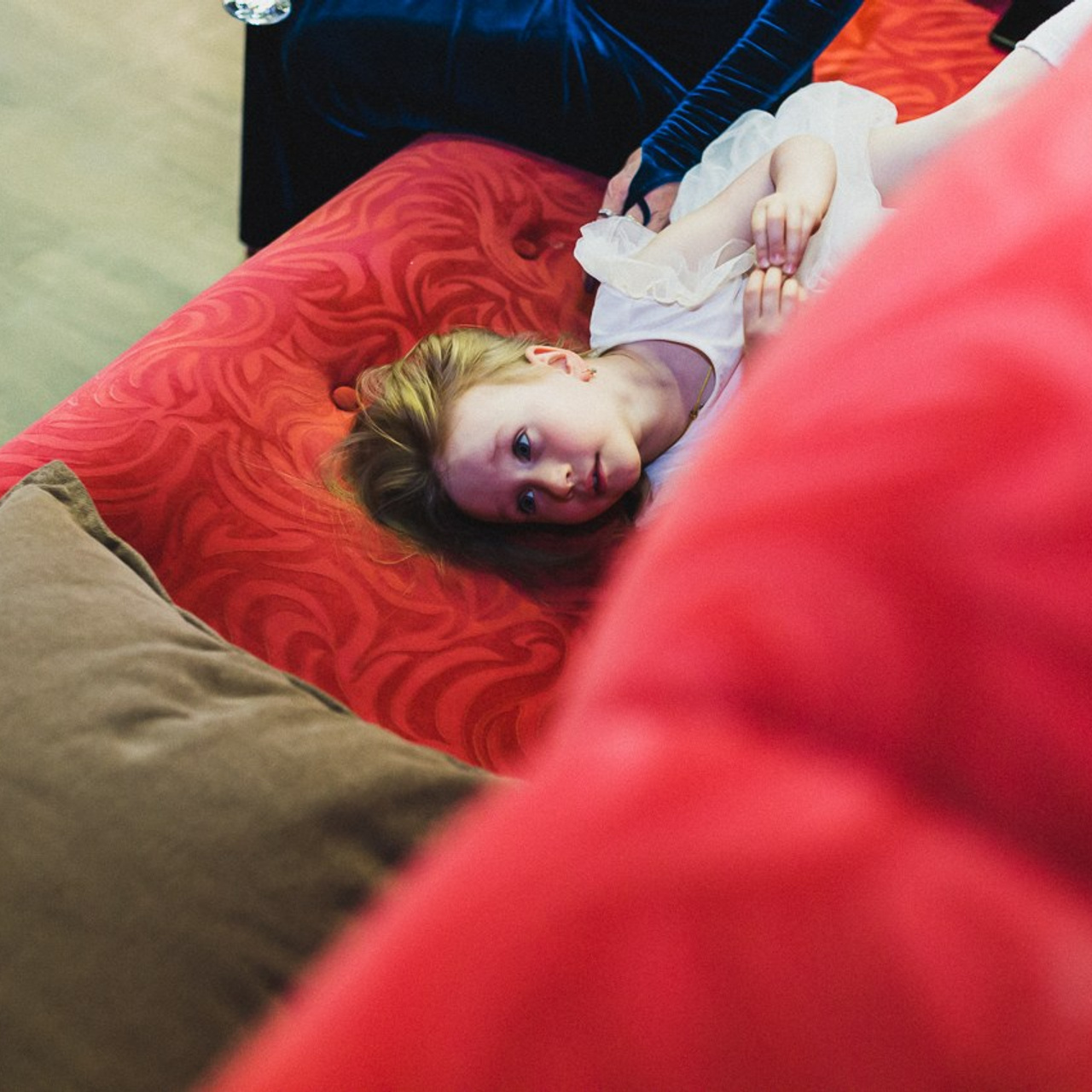 Бизон и валя. Фотограф Ольга Нестерова СПБ и т. д