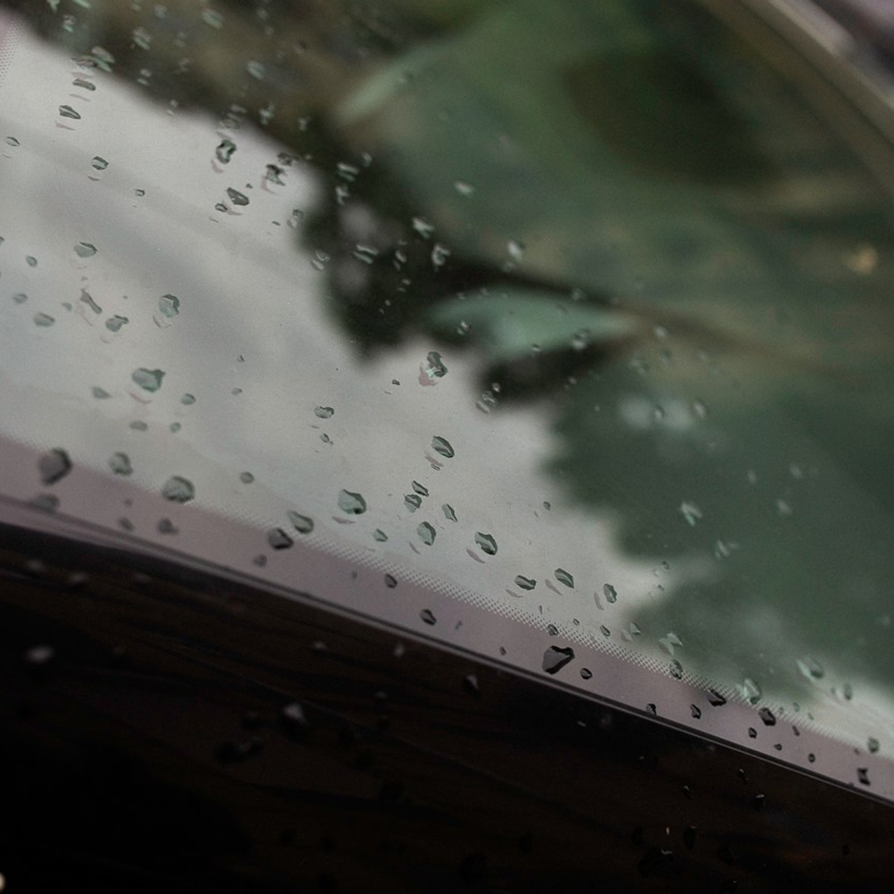 2А. Фотограф Ольга Нестерова СПБ и т. д