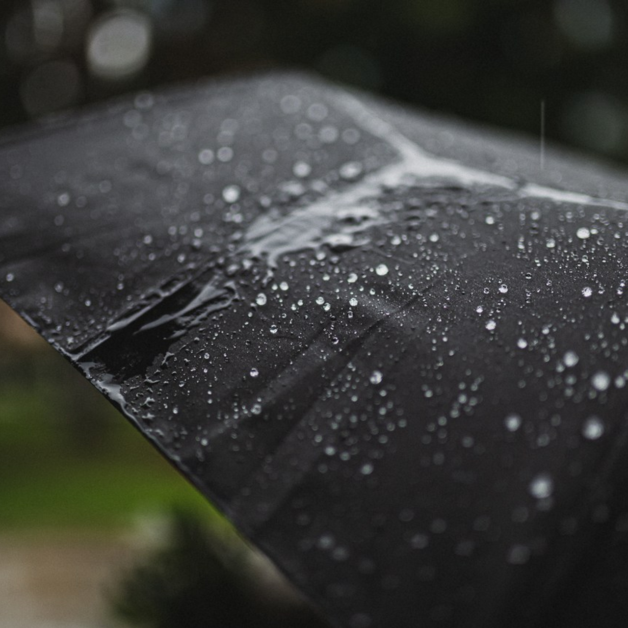 Мурино существует. Фотограф Ольга Нестерова СПБ и т. д