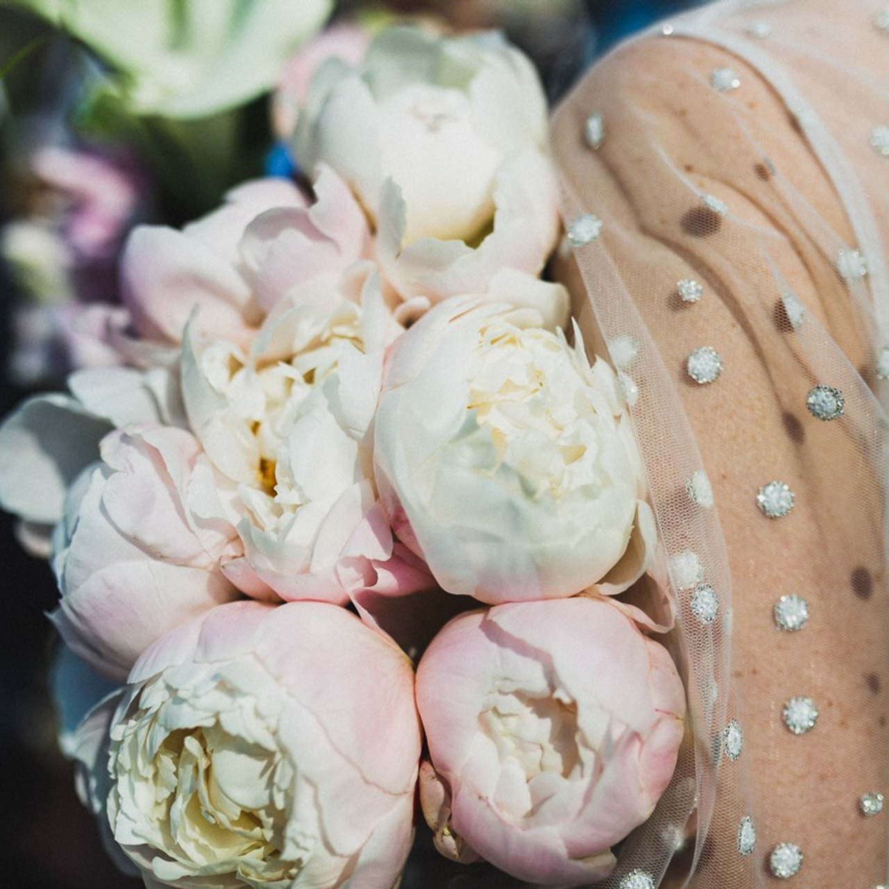 Бизон и валя. Фотограф Ольга Нестерова СПБ и т. д