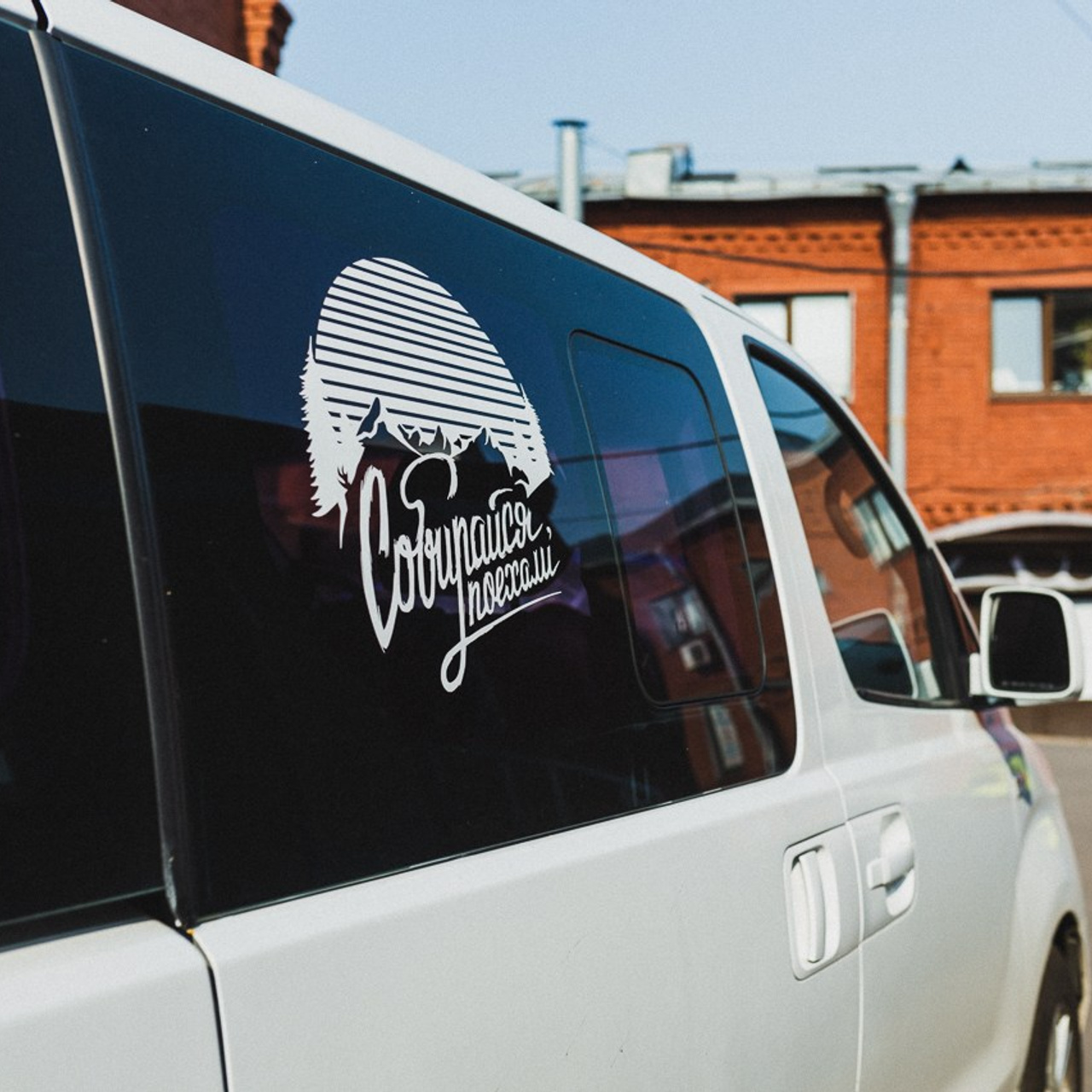 Бизон и валя. Фотограф Ольга Нестерова СПБ и т. д