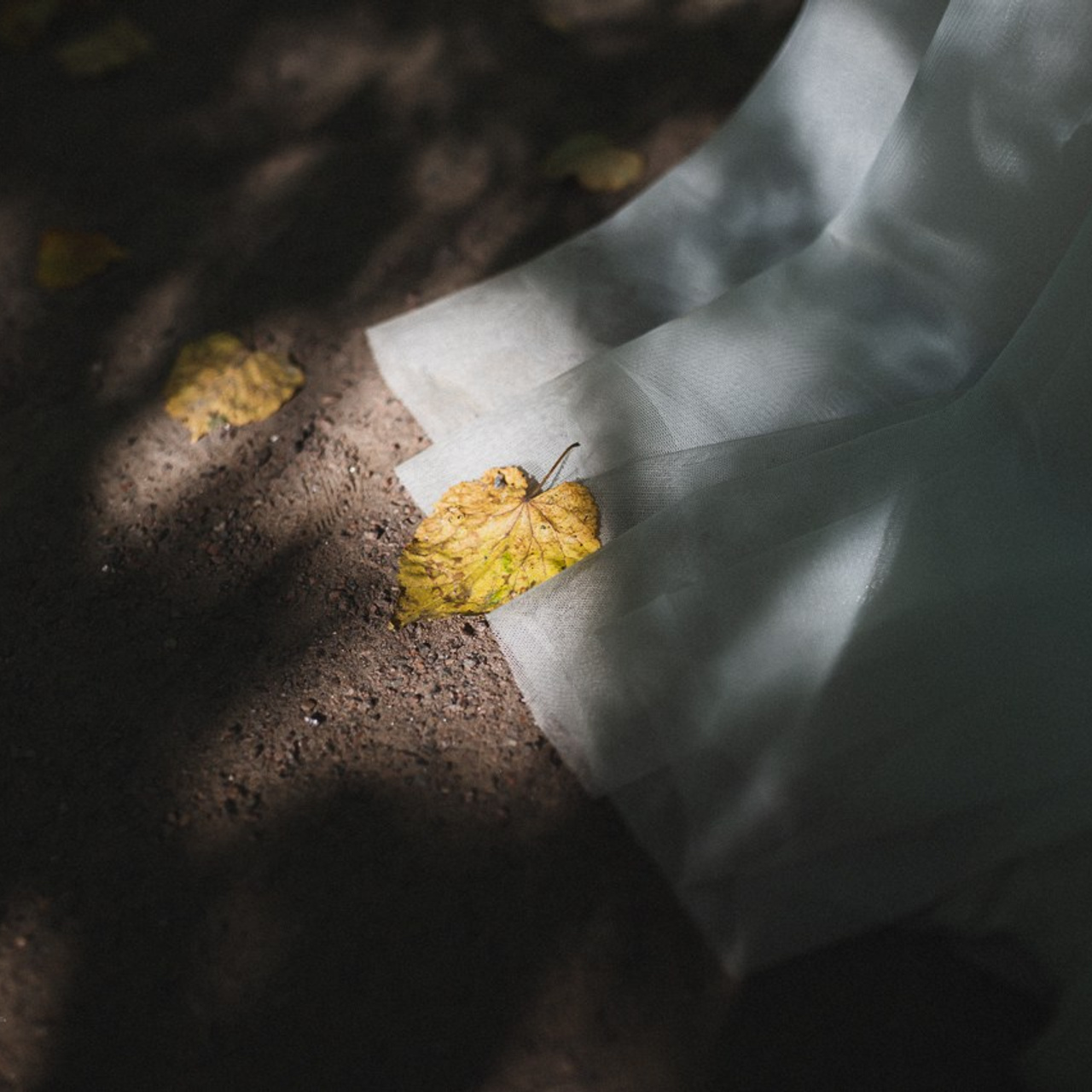 Счастью быть. Фотограф Ольга Нестерова СПБ и т. д