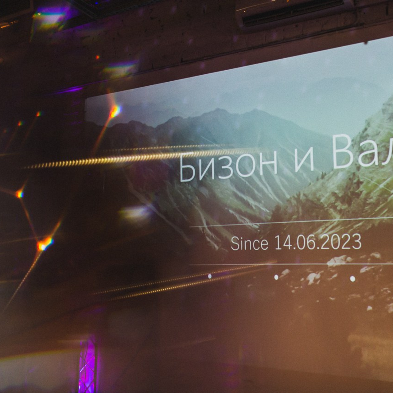 Бизон и валя. Фотограф Ольга Нестерова СПБ и т. д